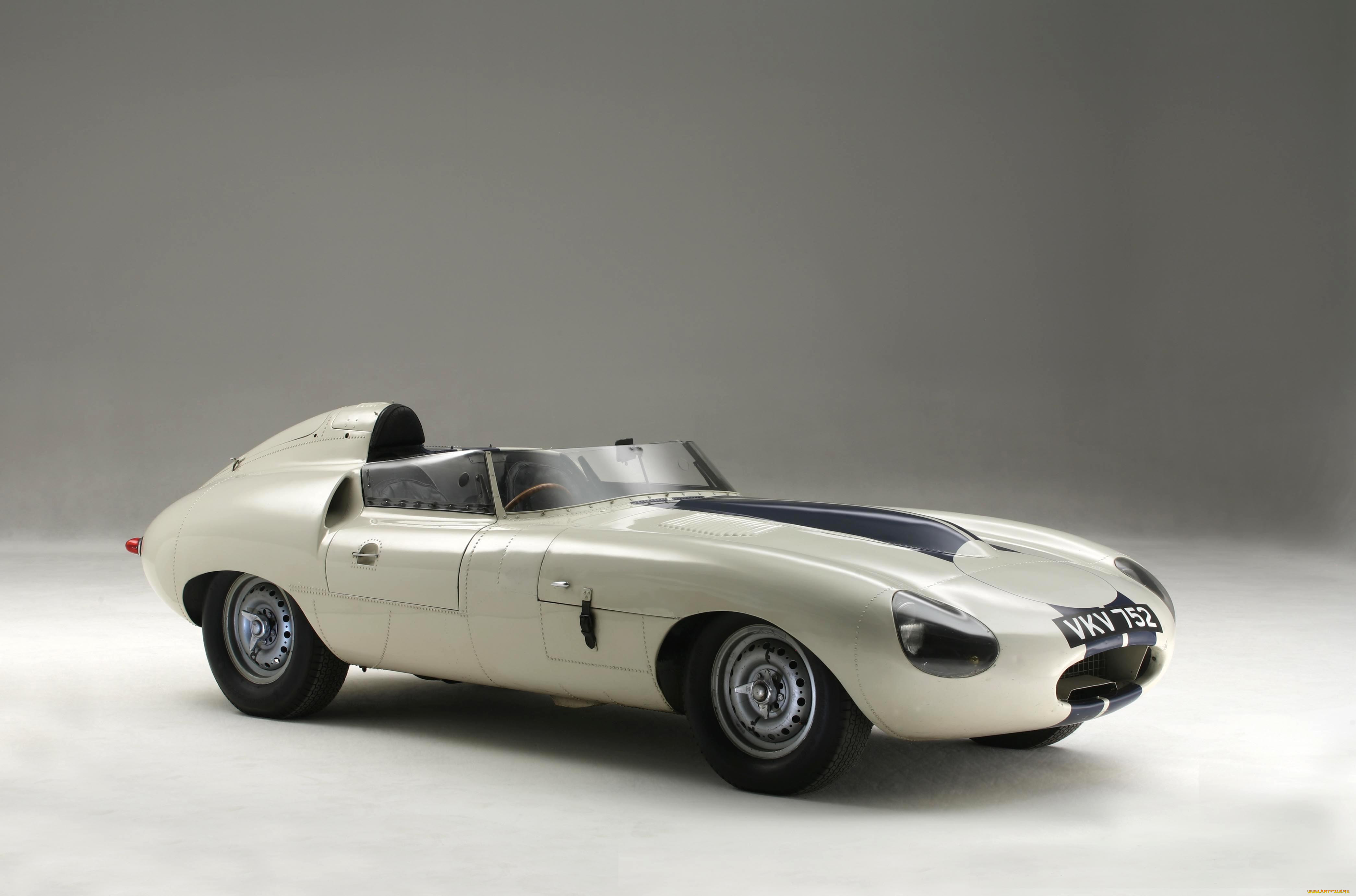 , jaguar